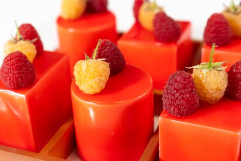 Napaj agence monstera