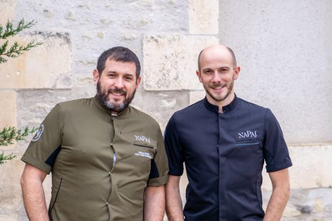 Agence Monstera Napaj