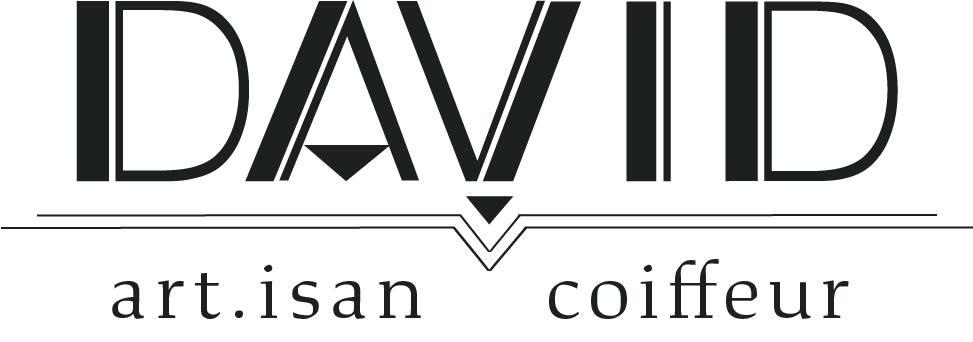 David artisan coiffeur limoges