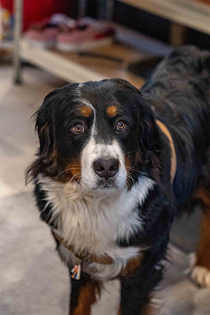 JulienTuyeras-30052023-DSC09632