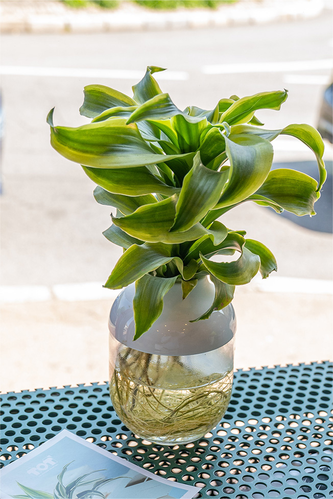 JulienTuyeras-30052023-DSC09746